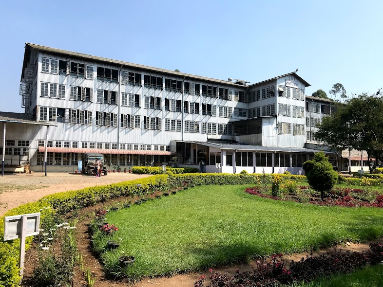 munnar lockheart tea factory 